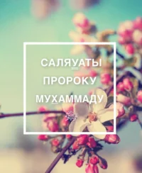 Ду'а та Зікри на кожен день