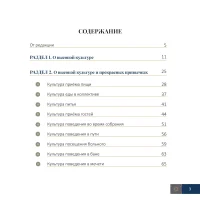 Красота культуры в Исламе Краса культури в Ісламі - Зображення 2